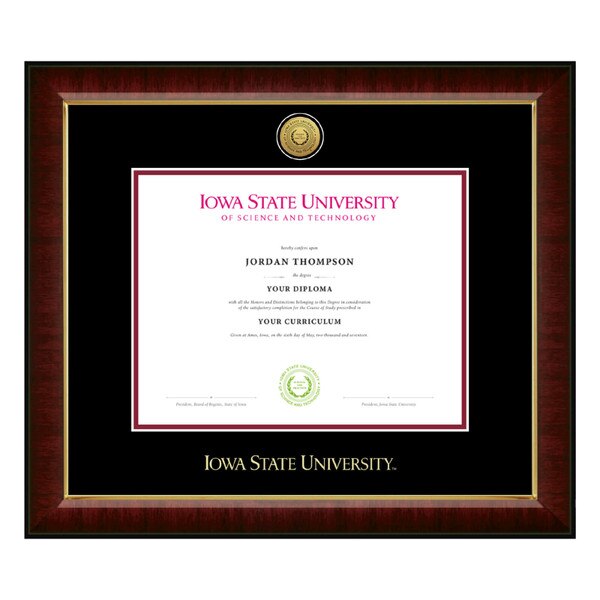 Church Hill Classics Murano Gold Medallion Master's Degree Diploma Frame #6